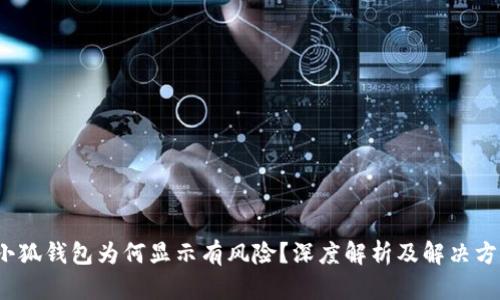  小狐錢包為何顯示有風險？深度解析及解決方案