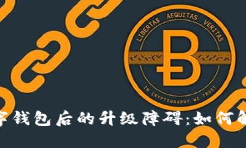 : 開(kāi)通數(shù)字錢包后的升級(jí)障礙：如何解決與體驗(yàn)