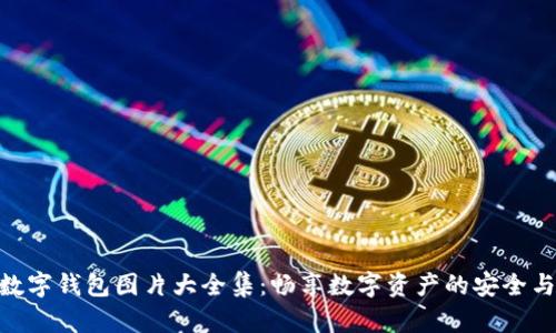狐貍數字錢包圖片大全集：暢享數字資產的安全與便捷