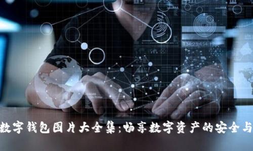 狐貍數字錢包圖片大全集：暢享數字資產的安全與便捷