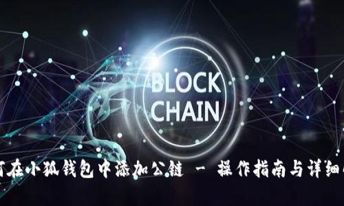 如何在小狐錢(qián)包中添加公鏈 - 操作指南與詳細(xì)解析