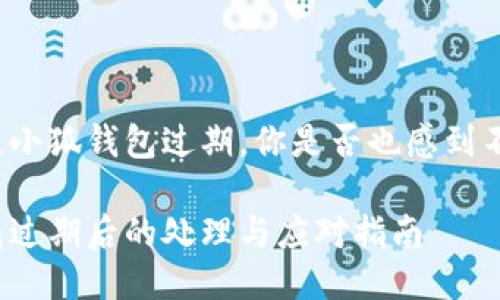 每當(dāng)提起小狐錢包過期，你是否也感到不知所措？

小狐錢包過期后的處理與應(yīng)對指南