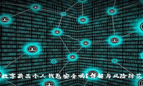 數(shù)字藏品個(gè)人錢包安全嗎？詳解與風(fēng)險(xiǎn)防范