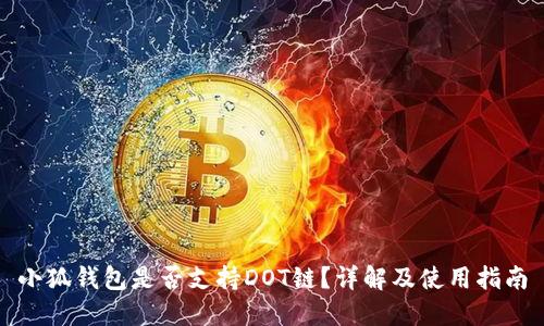 小狐錢包是否支持DOT鏈？詳解及使用指南