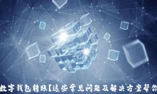 
沒有收到數(shù)字錢包轉(zhuǎn)賬？這些常見問題及解決方案幫你找回資金