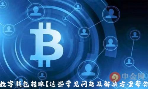 
沒有收到數(shù)字錢包轉(zhuǎn)賬？這些常見問題及解決方案幫你找回資金