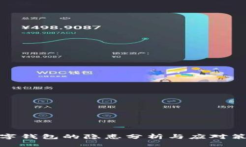數(shù)字錢包的隱患分析與應(yīng)對策略