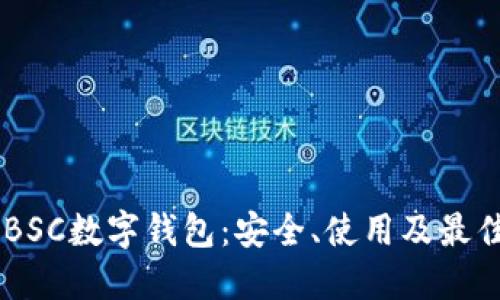 了解BSC數(shù)字錢包：安全、使用及最佳實踐