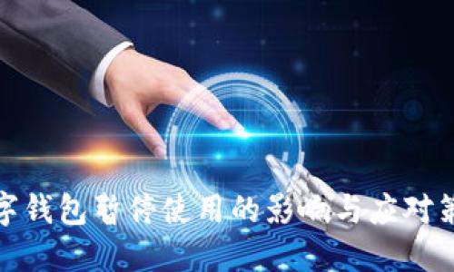數(shù)字錢包暫停使用的影響與應對策略