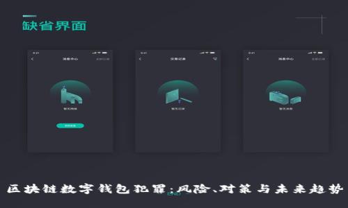 區(qū)塊鏈數(shù)字錢包犯罪：風險、對策與未來趨勢