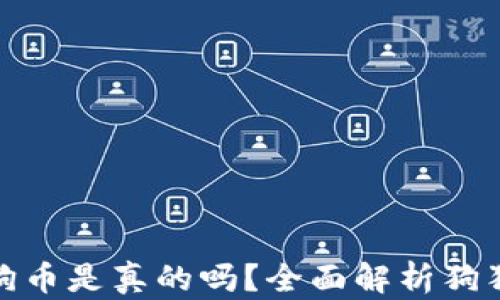 
小狐錢包存狗狗幣是真的嗎？全面解析狗狗幣存儲安全性