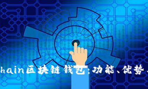 全面解析Chain區(qū)塊鏈錢包：功能、優(yōu)勢與應(yīng)用場景