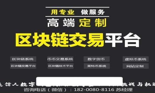 失信人數(shù)字錢包：未來(lái)數(shù)字金融的新挑戰(zhàn)與機(jī)遇