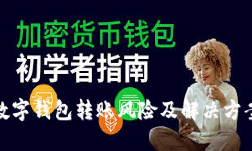 數(shù)字錢(qián)包轉(zhuǎn)賬風(fēng)險(xiǎn)及解決方案