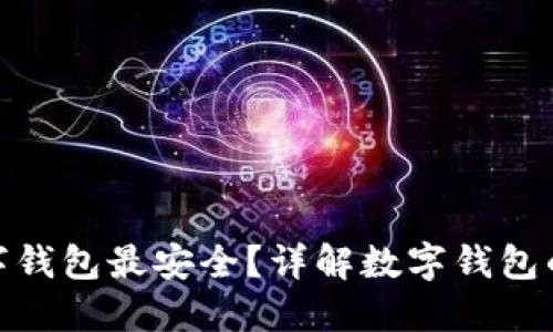 哪種數(shù)字錢(qián)包最安全？詳解數(shù)字錢(qián)包的安全性