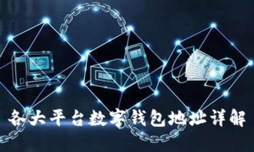 各大平臺數(shù)字錢包地址詳解
