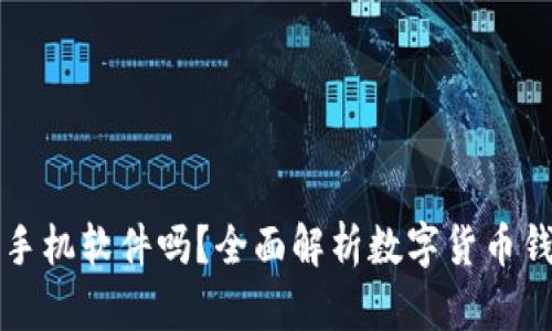 數(shù)字貨幣錢包是手機軟件嗎？全面解析數(shù)字貨幣錢包的功能和應(yīng)用