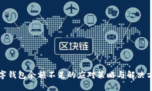 數(shù)字錢(qián)包余額不足的應(yīng)對(duì)策略與解決方案