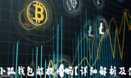 
中本聰小狐錢包能提幣嗎？詳細解析及使用指南