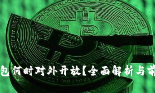 數(shù)字錢包何時對外開放？全面解析與前景展望