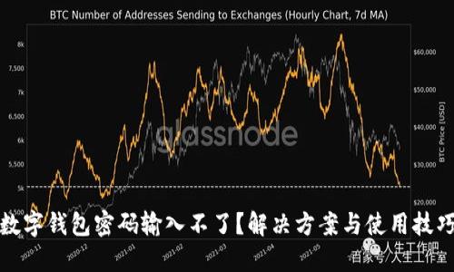 數(shù)字錢包密碼輸入不了？解決方案與使用技巧