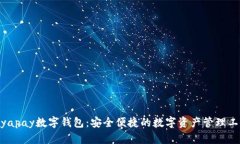 biyapay數(shù)字錢(qián)包：安全便捷