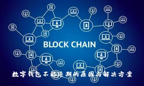 數(shù)字錢(qián)包不能延期的原因與解決方案