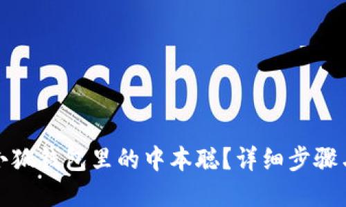 如何找回小狐錢包里的中本聰？詳細(xì)步驟與解決方案