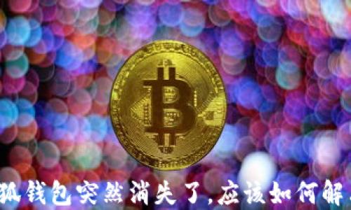 
小狐錢包突然消失了，應該如何解決？