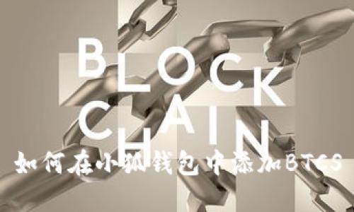如何在小狐錢(qián)包中添加BTCS