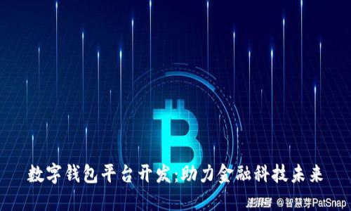 數(shù)字錢包平臺(tái)開發(fā)：助力金融科技未來