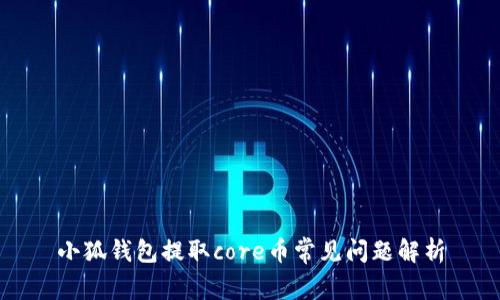 小狐錢包提取core幣常見問(wèn)題解析