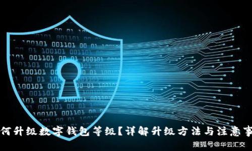 如何升級數(shù)字錢包等級？詳解升級方法與注意事項(xiàng)