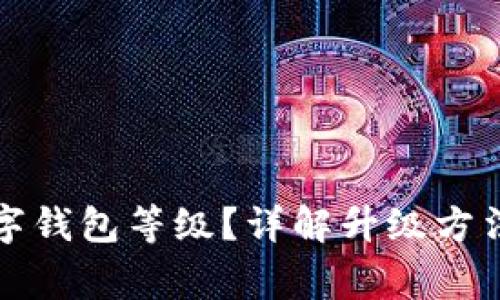 如何升級數(shù)字錢包等級？詳解升級方法與注意事項(xiàng)