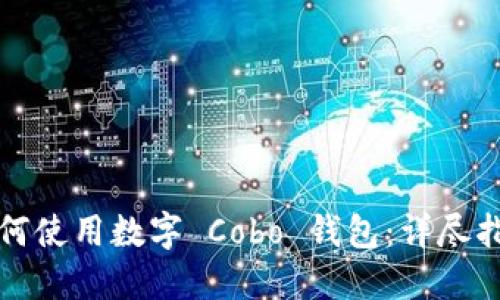 如何使用數(shù)字 Cobo 錢包：詳盡指南