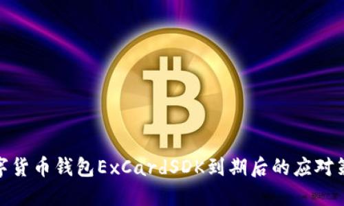 數(shù)字貨幣錢包ExCardSDK到期后的應(yīng)對策略