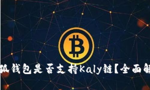 小狐錢包是否支持Kaly鏈？全面解析