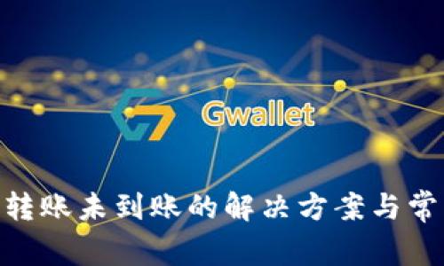 MetaMask轉(zhuǎn)賬未到賬的解決方案與常見問題解析