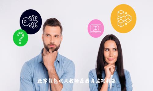 數(shù)字錢包被風(fēng)控的原因與應(yīng)對指南