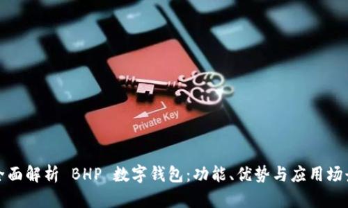 全面解析 BHP 數(shù)字錢包：功能、優(yōu)勢與應用場景