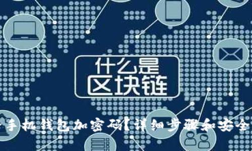 如何給手機錢包加密碼？詳細步驟和安全性分析