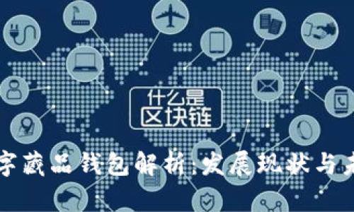 國內數(shù)字藏品錢包解析：發(fā)展現(xiàn)狀與未來趨勢